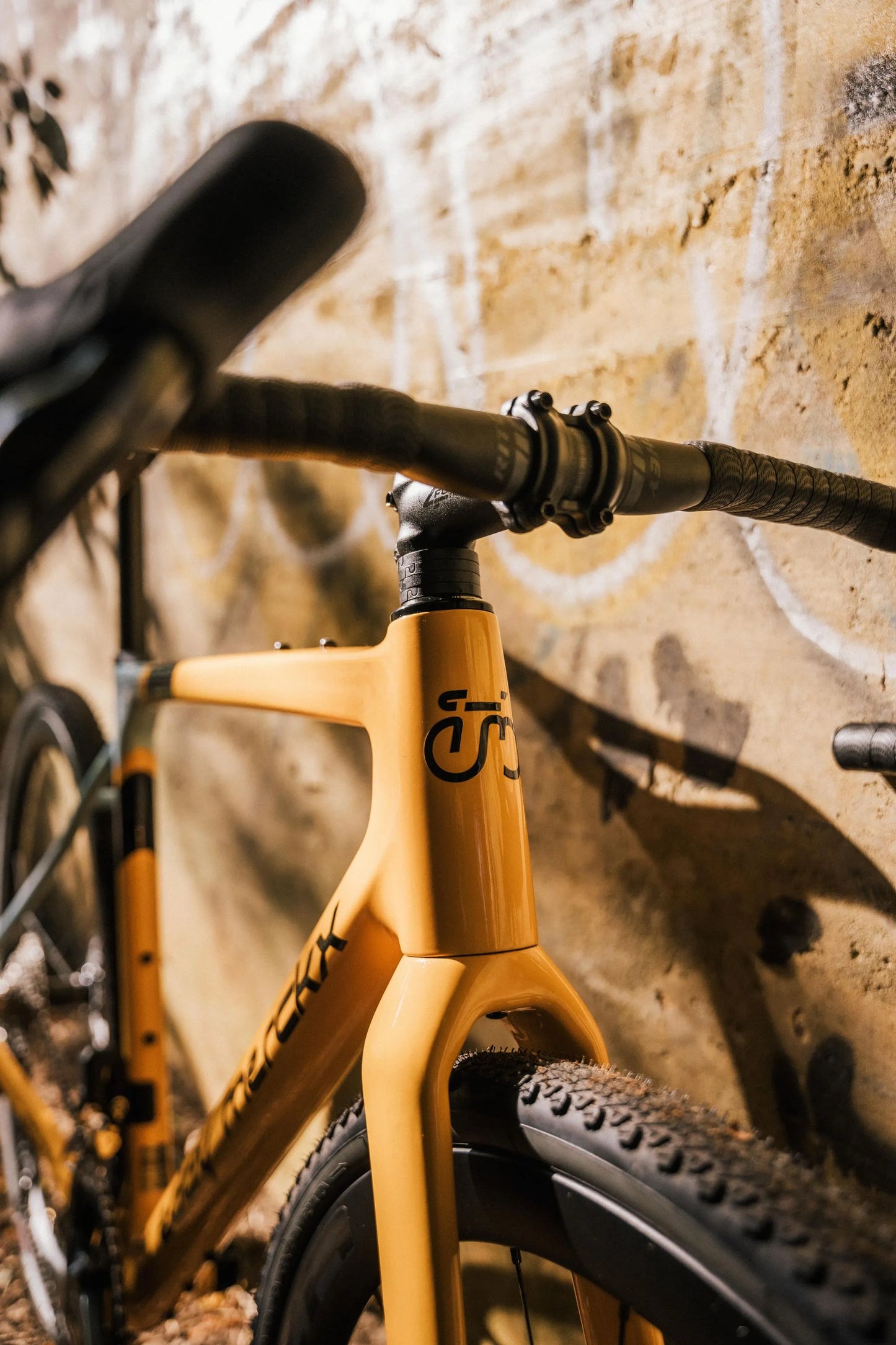 Eddy Merckx Pévèle Carbon Frameset | Green
