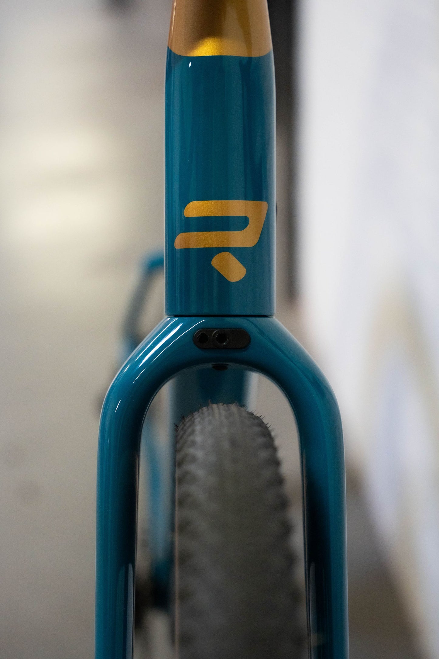 Ridley Kanzo Adventure Gravel Bike | Honey Gold Metallic / green | SRAM Apex XPLR AXS 1x12sp