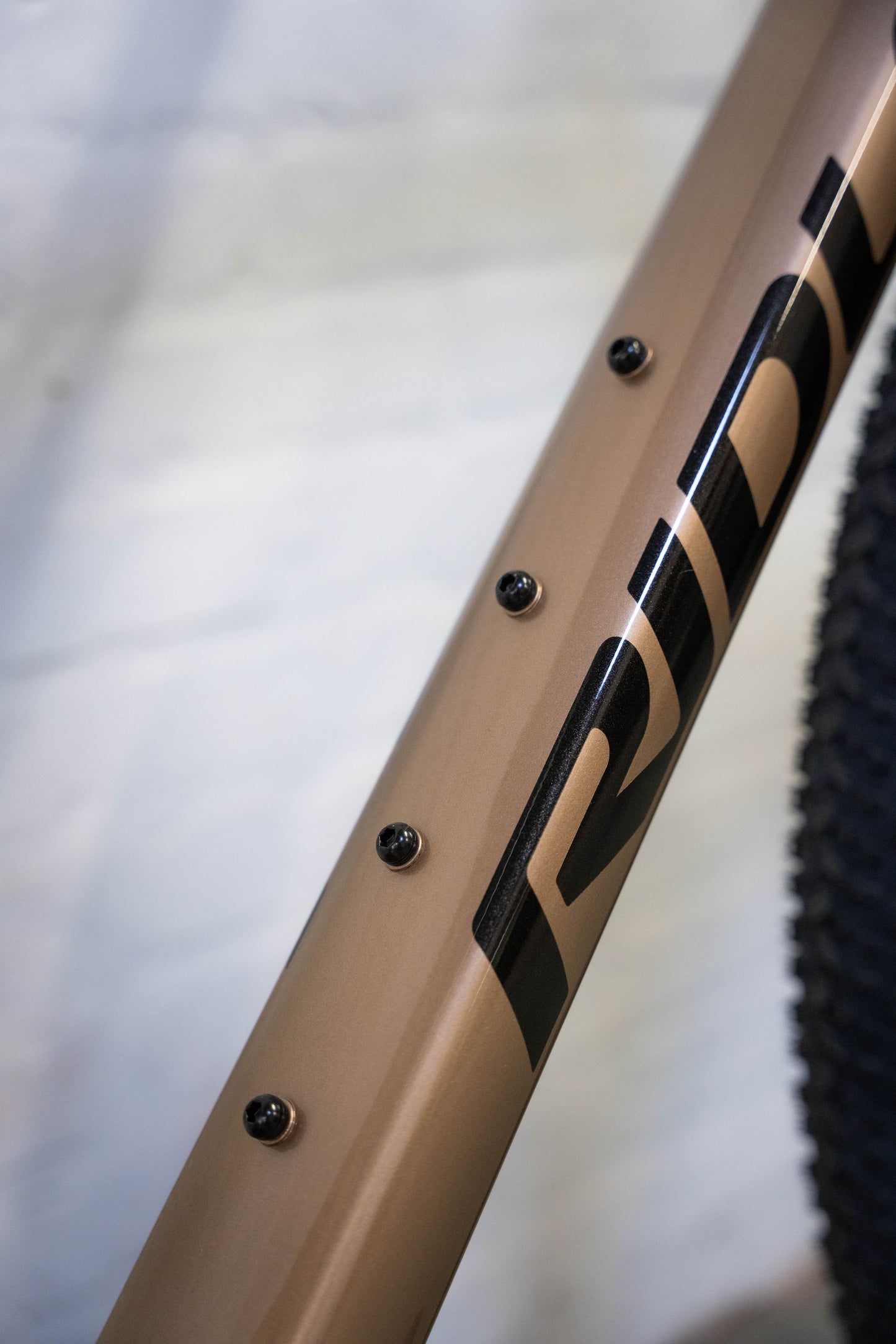 Ridley Kanzo Adventure Gravel Bike | Gold/ black | SRAM Apex XPLR AXS 1x12sp