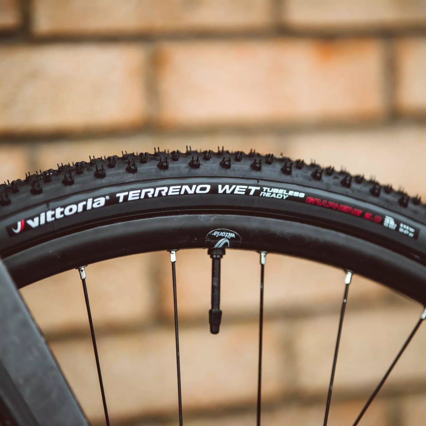 Vitorria Terreno Wet Gravel Endurance